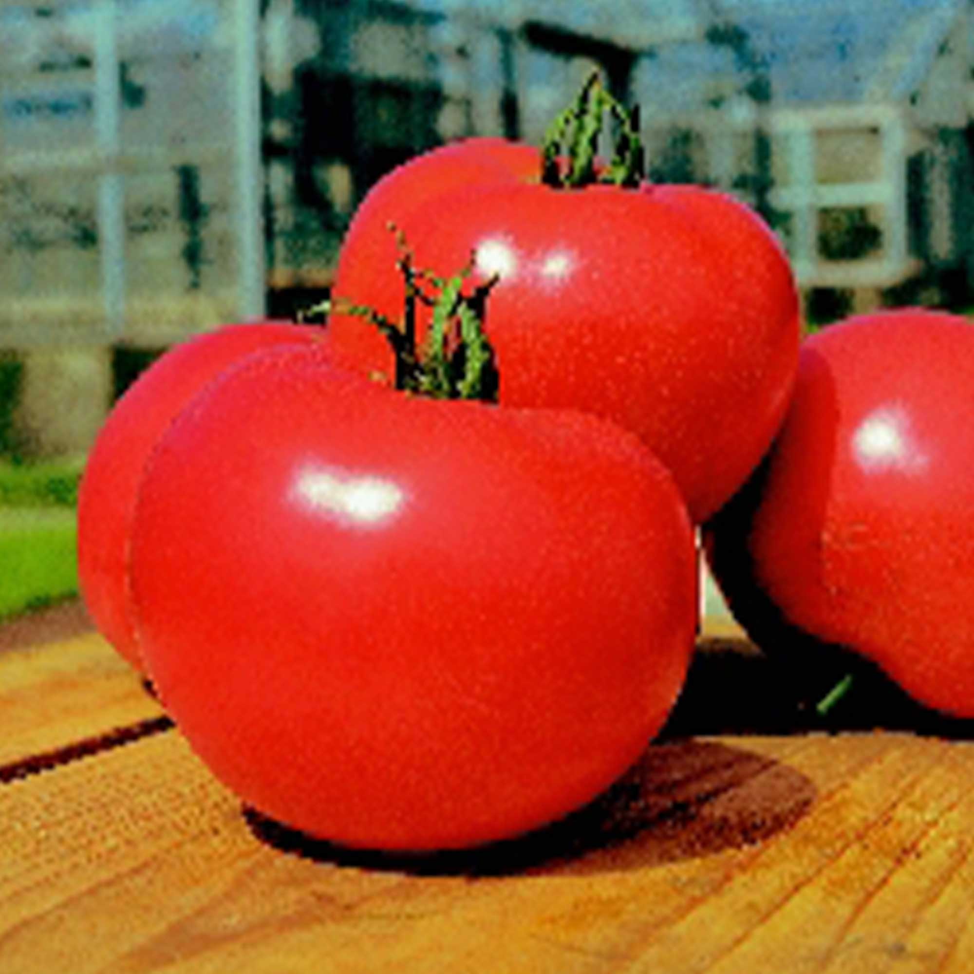 Tomato - Japanese - Momotaro - Hybrid - 50 Seeds - Buy Non-GMO Solanum lycopersicum Farm & Gardening Seeds Online - Bulk Availab