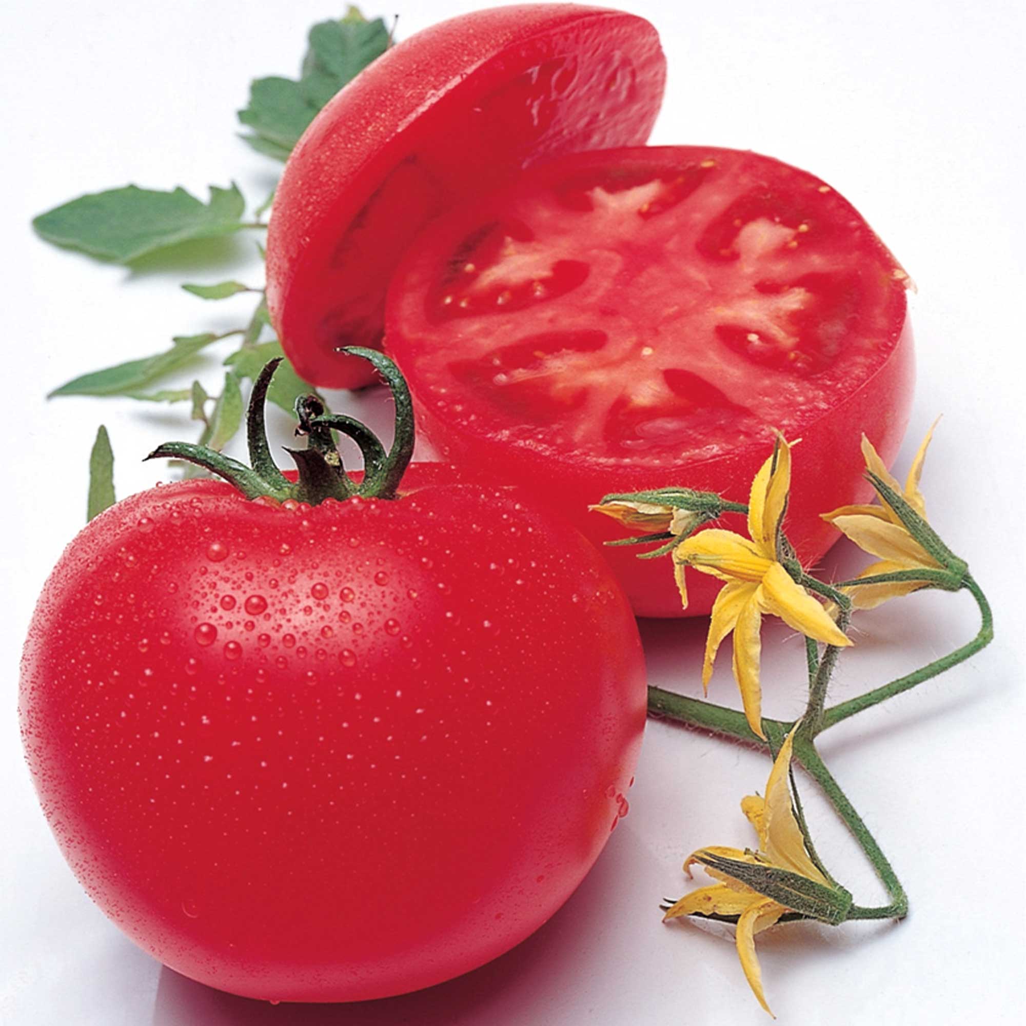 Tomato - Japanese - Momotaro Tough Boy Fight - Hybrid - 50 Seeds - Buy Non-GMO Solanum lycopersicum Farm & Gardening Seeds Onlin