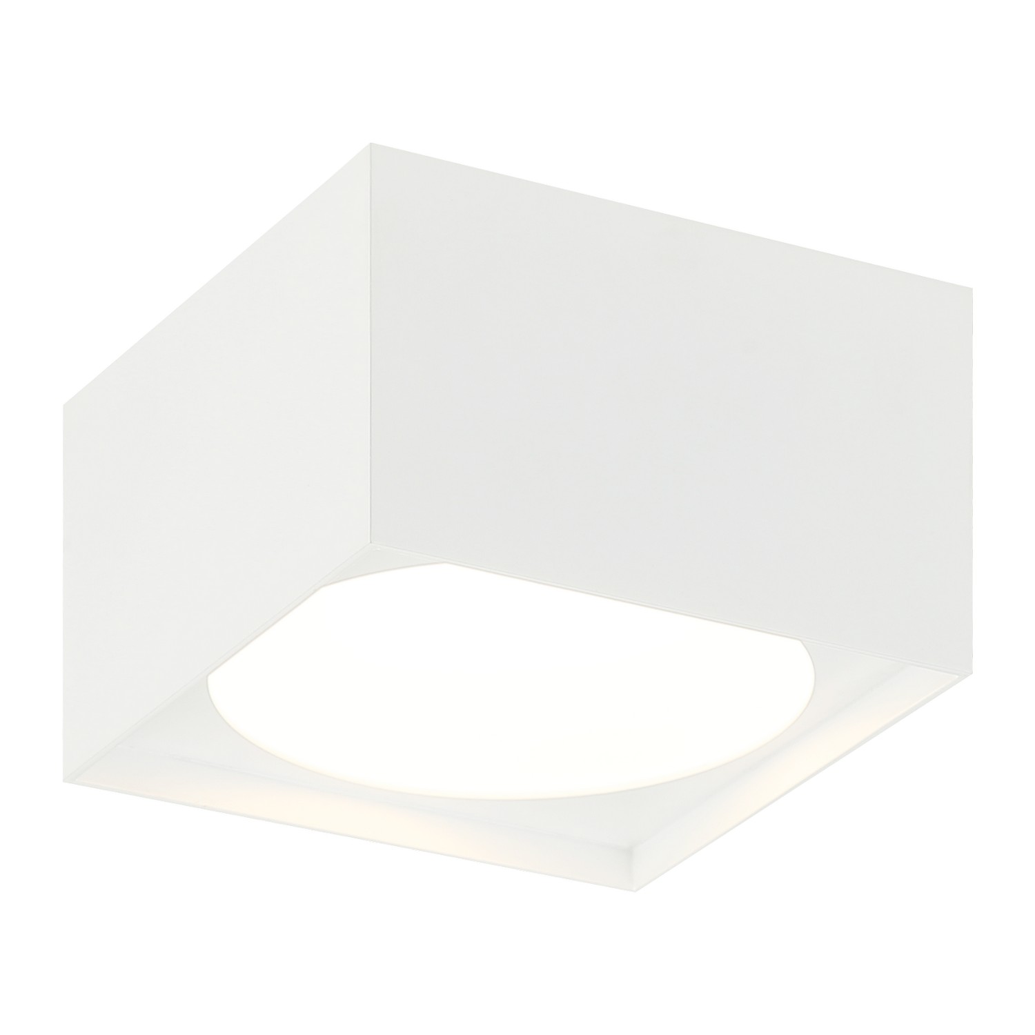 White LED Ceiling Mount from the Caravon Collection