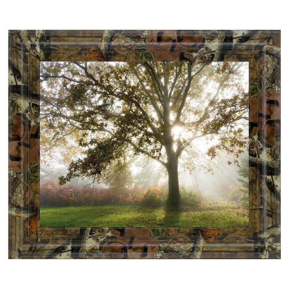 1-Piece Framed Graphic Print Nature Art Print 22 in. x 26 in.