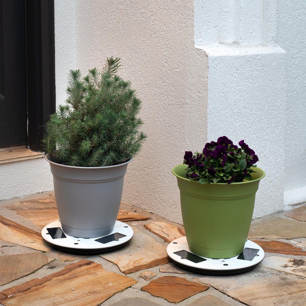 10.5 in. Outdoor Flower Planter Solar Pot Stand Light With Uplight Accent for Deck Pathway Patio and Walkway (2-Pack)