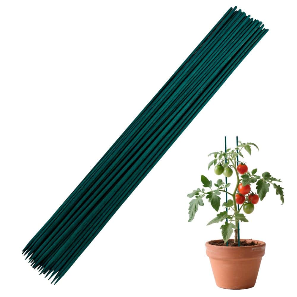 5000pcs Green Dyed Bamboo Plant Stakes,8 Inch Diameter 3-3.5mm Floral Support Sticks for Tomato,Orchid,Climbing Plants