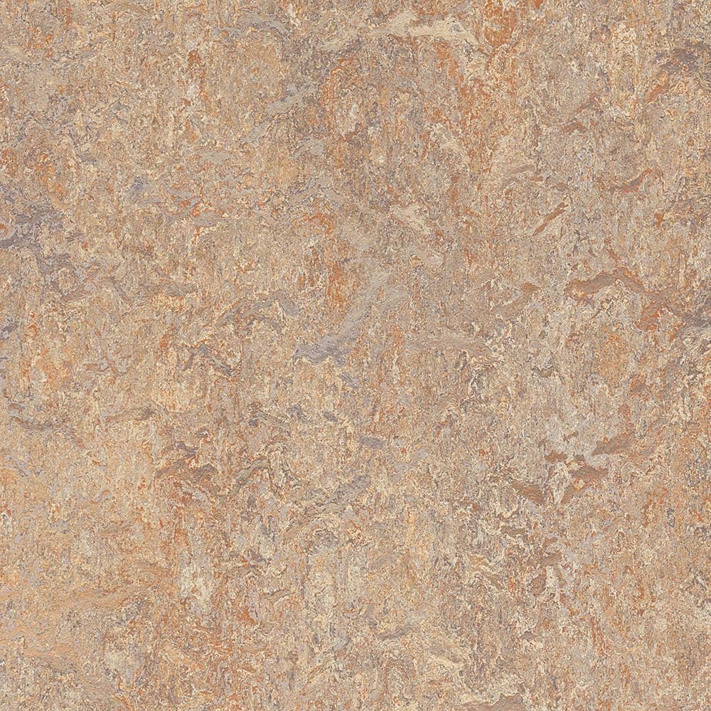 Cinch Loc Seal Donkey Island 9.8 mm Thick x 11.81 in. Wide X 11.81 in. Length Laminate Floor Tile (6.78 sq. ft/Case)
