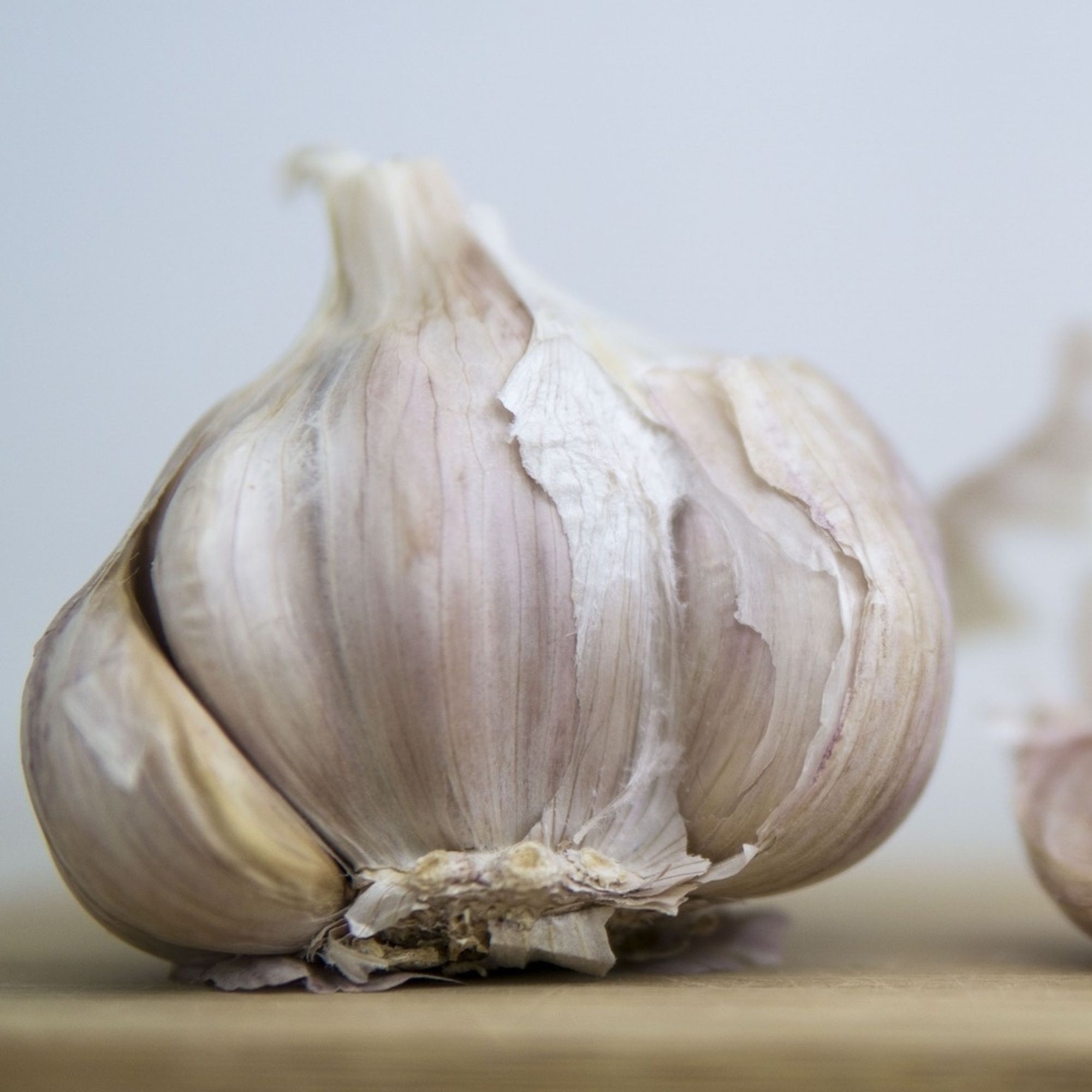 Garlic Bulbs - Hardneck - Blue Music - Sets For Planting in Fall - Bag of 3 Bulbs - Allium sativum var. ophioscorodon - Music -