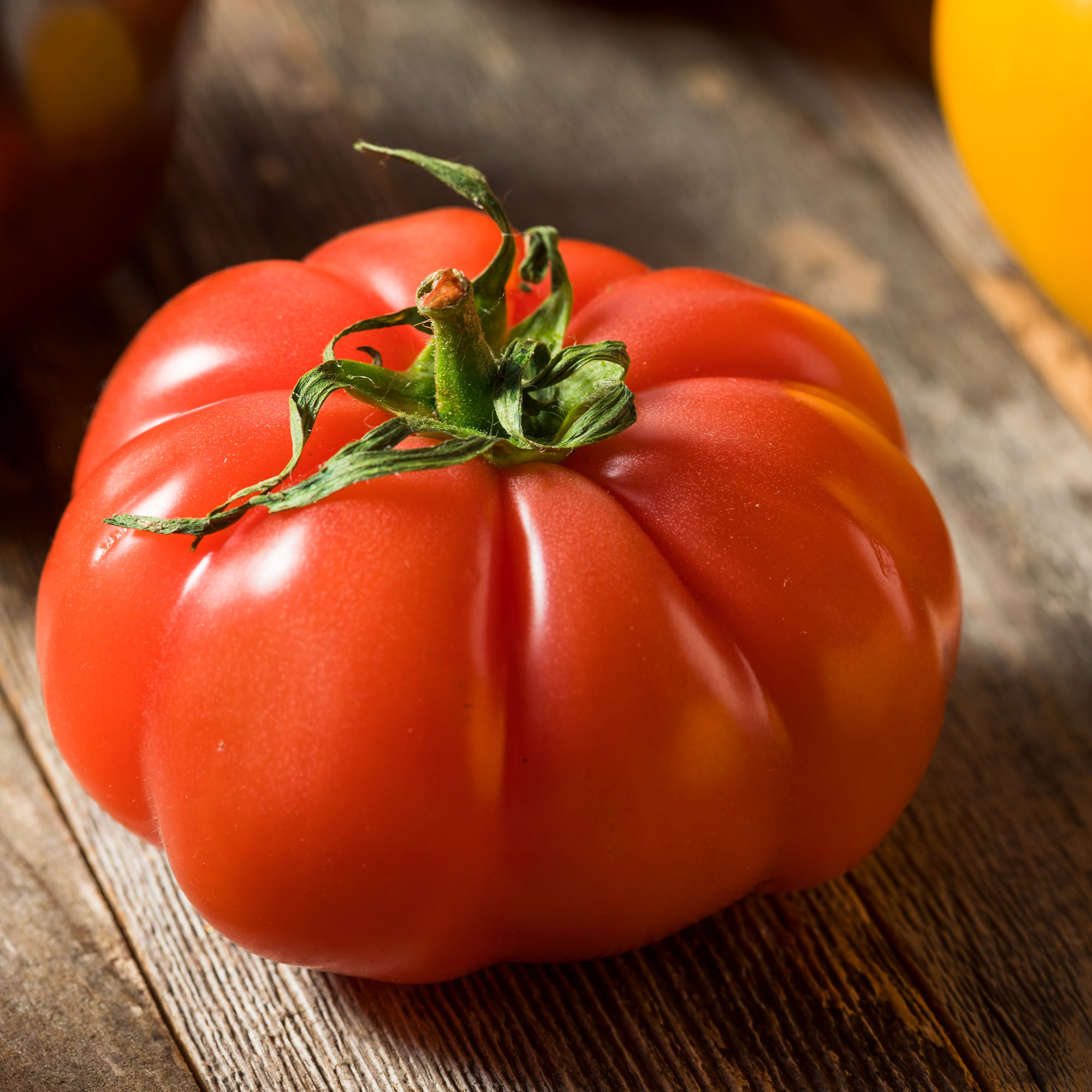 Tomato Seeds - Super Marmande VF - 1 Lb Bulk ~120K -Vegetable -Non-GMO - Buy Non-GMO Solanum lycopersicum Farm & Gardening Seeds